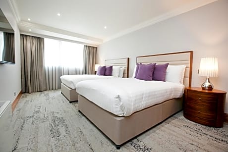 Deluxe  Family Two-Bedroom Apartment