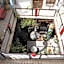 Riad Bibtia