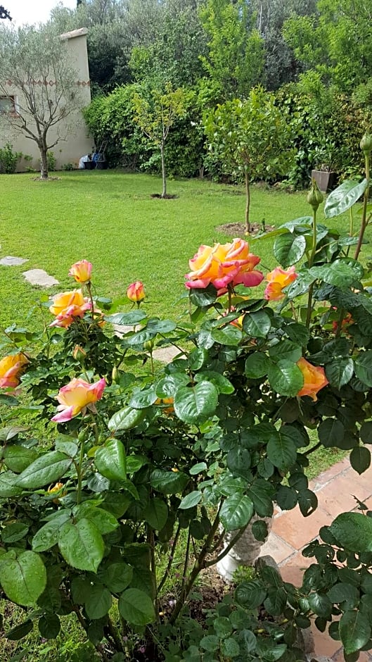 Chambre d'hôtes l'ipomée