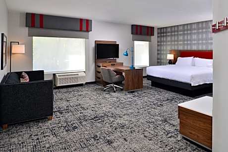 1 King Micro/Fridge Studio Suite City View Ns