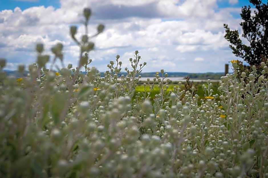 Bunratty Meadows Bed & Breakfast