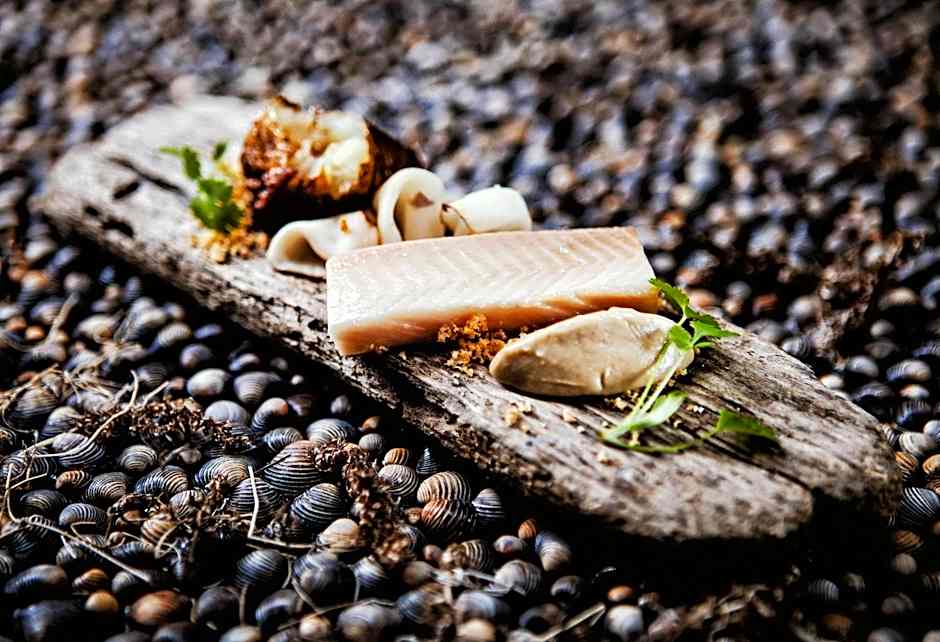 Seevital Hotel & SPA - Ihr 4 Sterne Superior Hideaway direkt am See