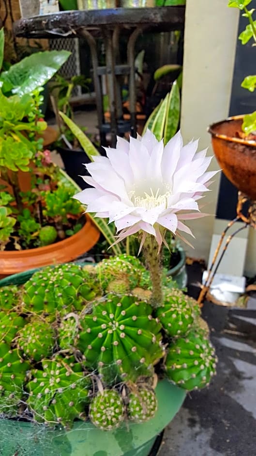 Mundaring Bed and Breakfast