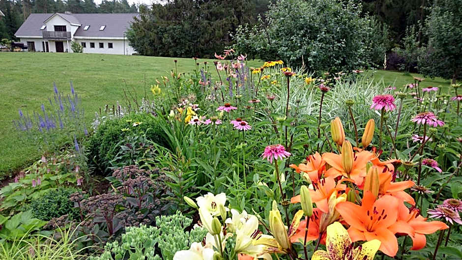 Kõrveküla Holiday Centre