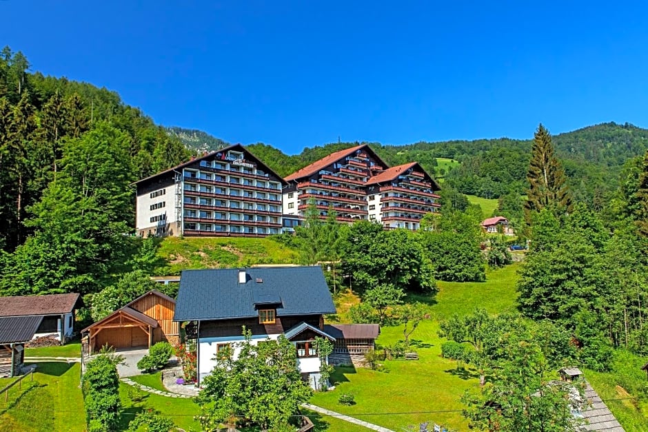 Appartement-Hotel Dachstein