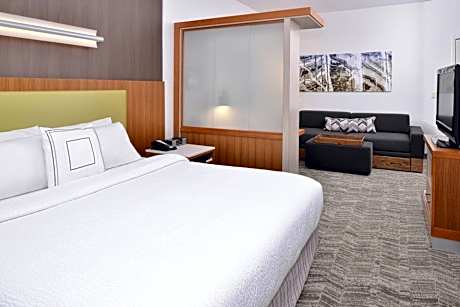 Suite, 1 King Bed