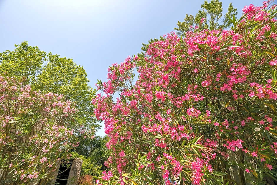 Appart'Hôtel Bellevue