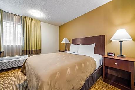 Standard Queen Room - Non-Smoking/Pet Friendly