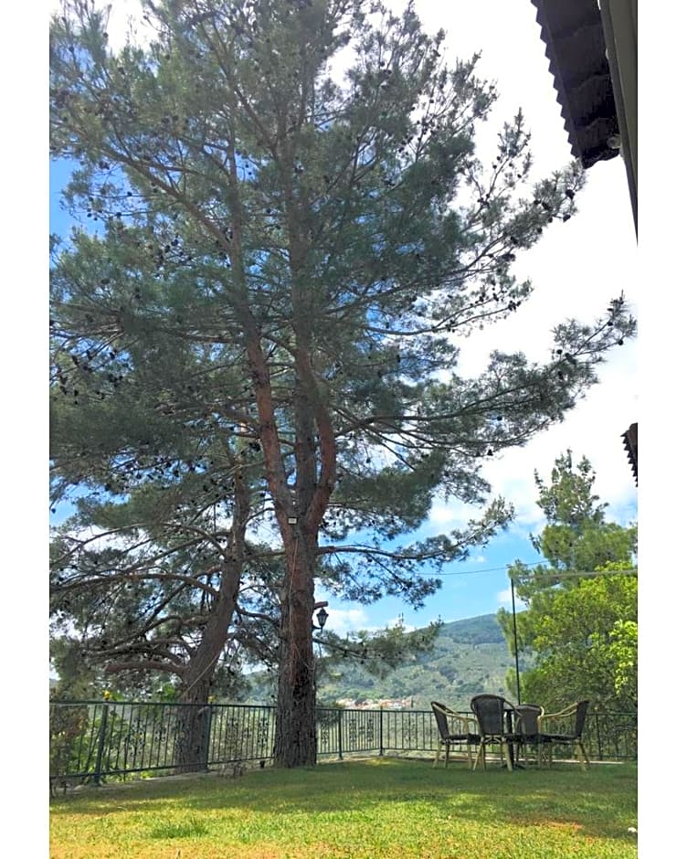 Sarı Konak Butik Otel