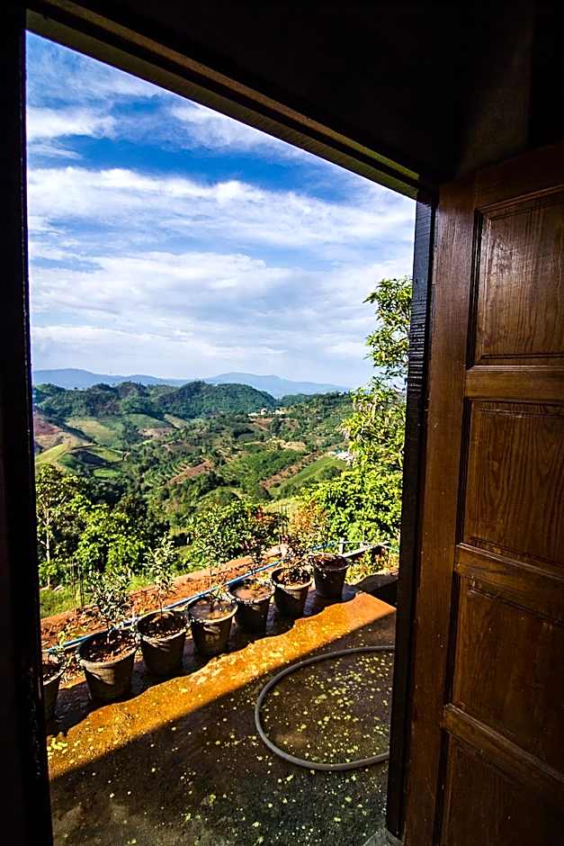 My Place Mae Salong