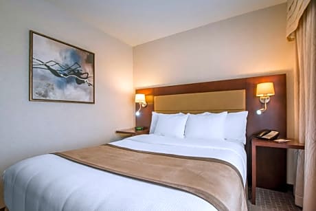 1 Queen Bed, Nonsmoking