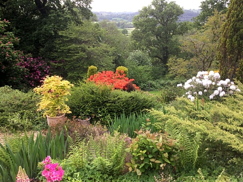 Dwynant - A Room with a View