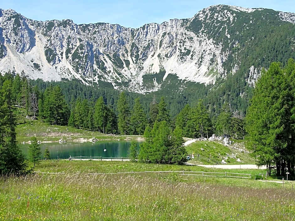 Gasthof Torwirt