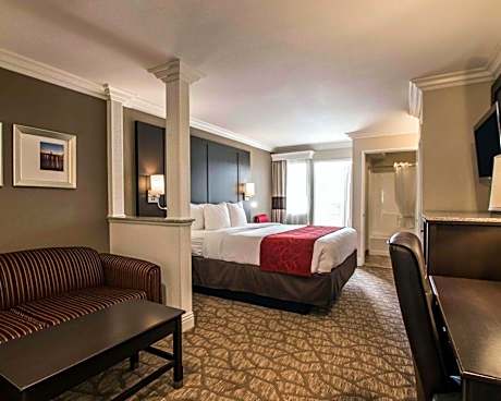 Deluxe Suite, 1 King Bed with Sofa Bed, Jetted Tub, Non Smoking