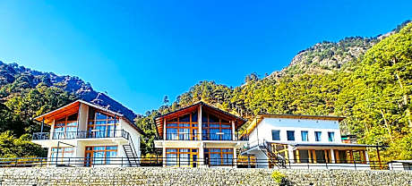 Silver fern by the Hillside