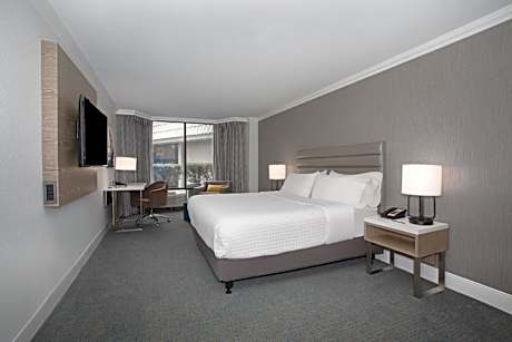 Junior King Suite