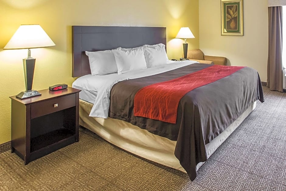 Comfort Inn & Suites Thomson