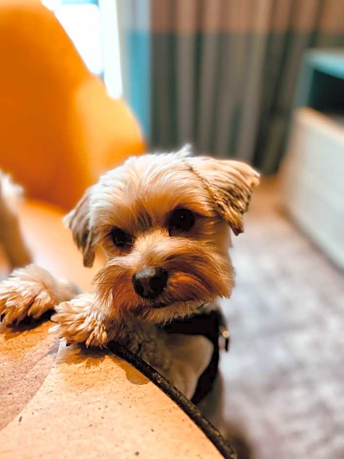 STAYBRIDGE SUITES LONDON-HEATHROW BATH ROAD By IHG