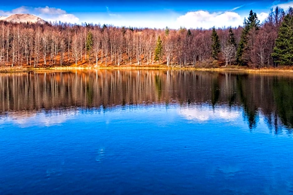 Viandanti, Artisti e Sognatori