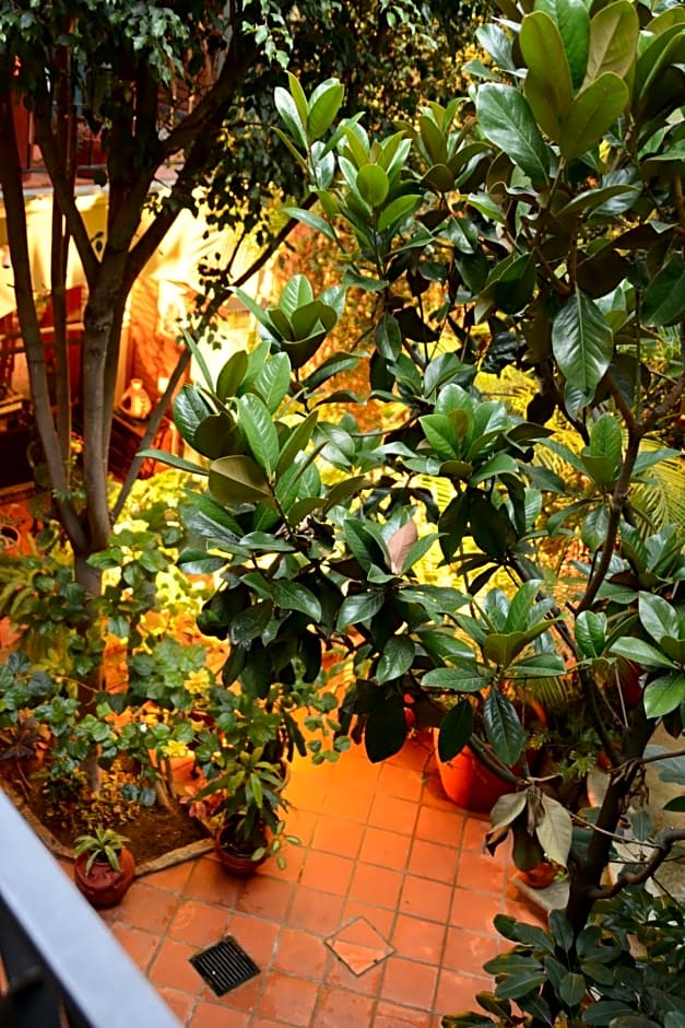 Hotel Casa Guiv