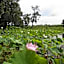 Wild Cattle Creek Estate