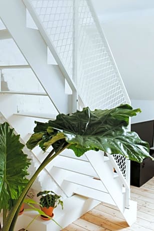 Duplex Studio