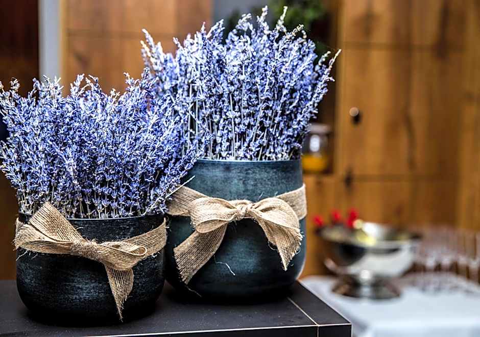 Das Aunhamer Suite & Spa Hotel