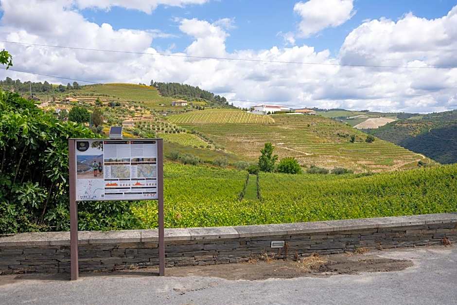 Casa Dona Edite Guesthouse Douro