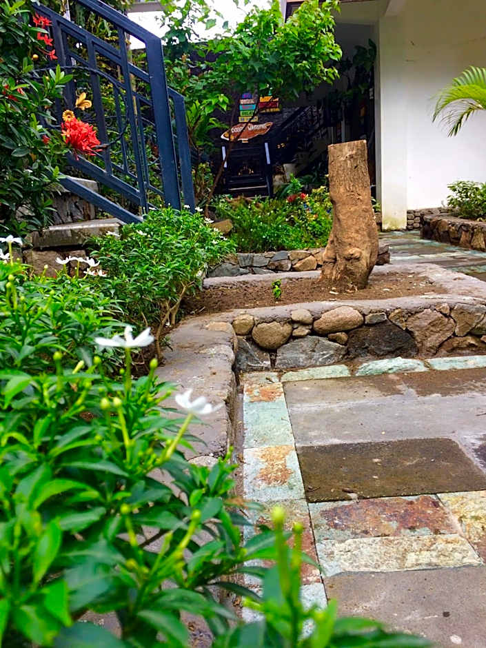 Amed Romance House