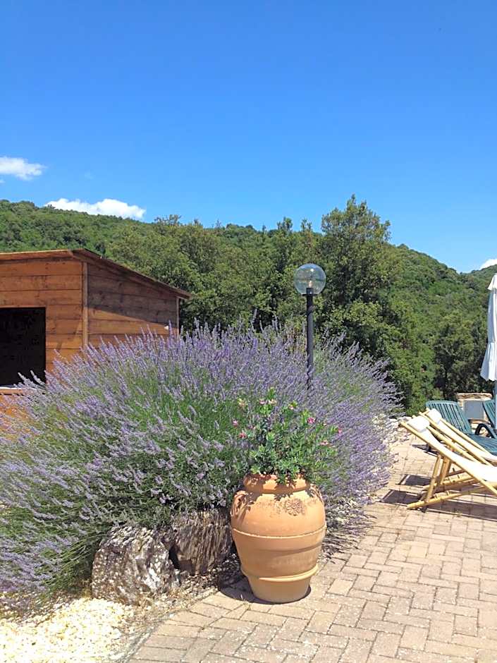 Podere La Castellina