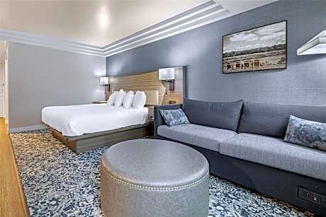 King Room with Sofa Bed, River View and Shower - Non-Smoking