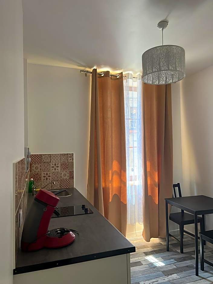 THEIA - Limoges Centre