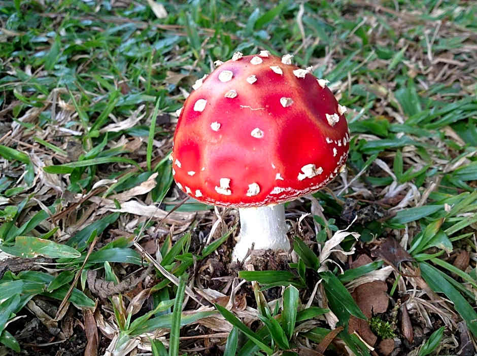 Filadélfia Hospedagens e Eventos