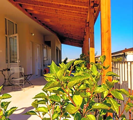 Roof garden - Single room