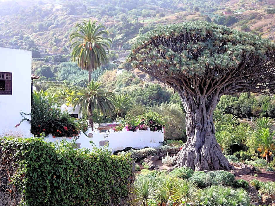 Penthouse El Rincón I