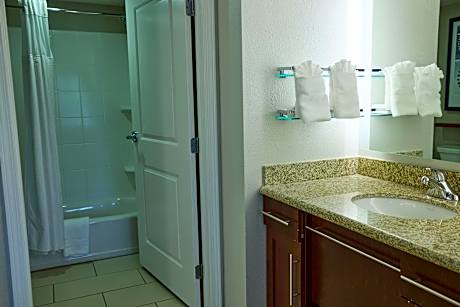 Studio, 1 King Bed with Sofa bed (1 King Bed and 1 Double Sofa Bed)