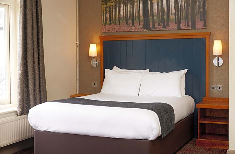 White Rabbit by Chef & Brewer Collection