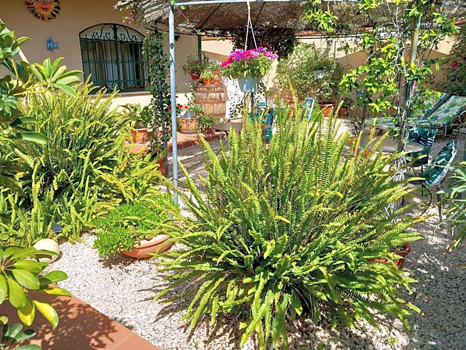 Bed and Breakfast Rosangela