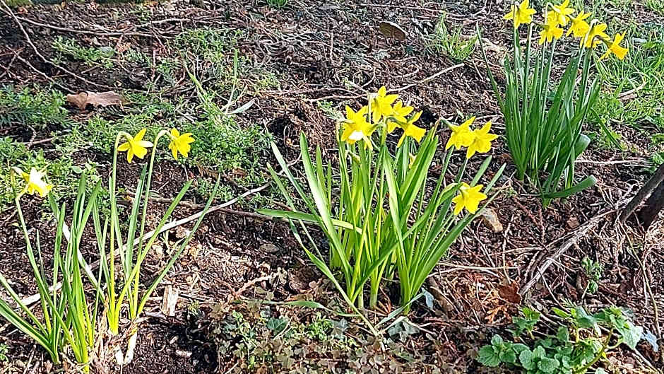 Villa Maëlla en Normandie- chambres tout confort - SPA