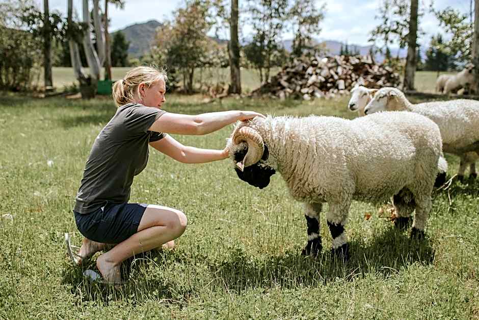 Maple Lodge Luxury Bed And Breakfast
