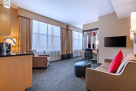 1 King Bed, Suite, Nonsmoking