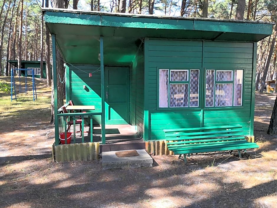 Domki letniskowe Delfin