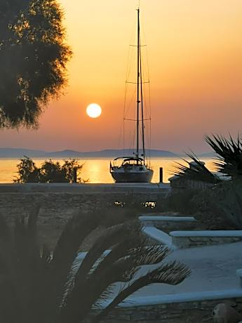 Amorgos Pearls