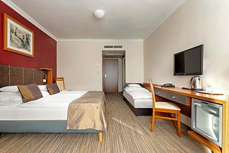 Standard Double Room with Extra Bed