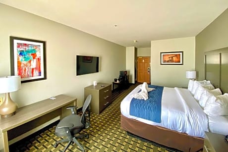 1 King Bed, Suite, Nonsmoking
