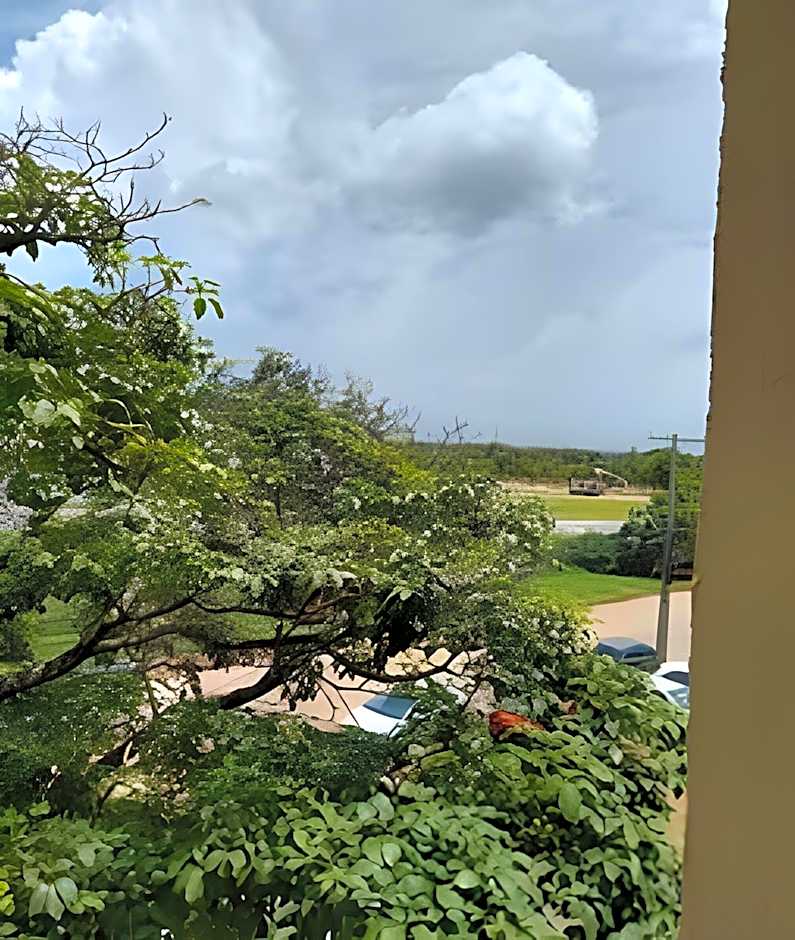 Vista p/parque, perto de tudo. Apto inteiro (loft)