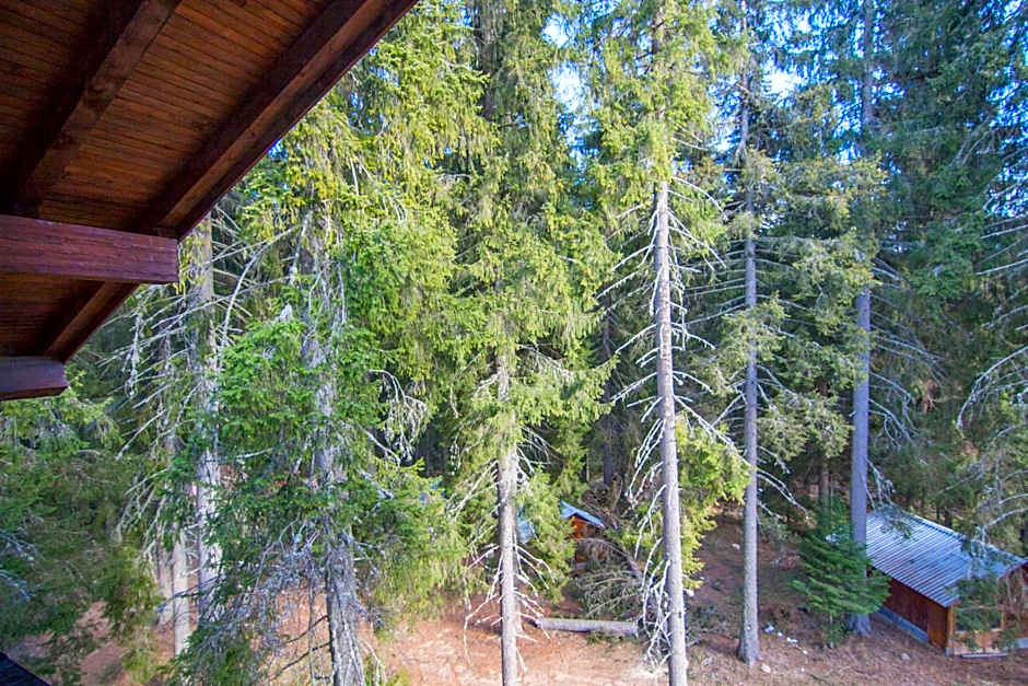 Апартаменти Малина