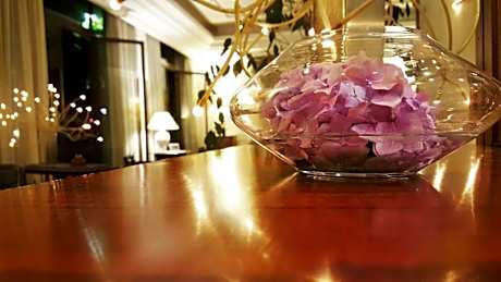 Hotel Delle Ortensie