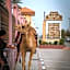 Daraysh Hotel
