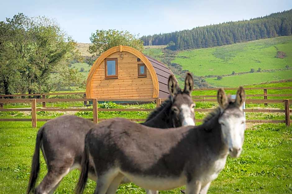 Kilbane Glamping